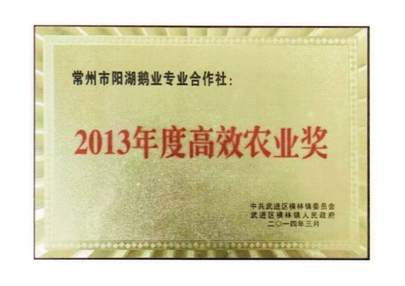 2013年度高效农业奖